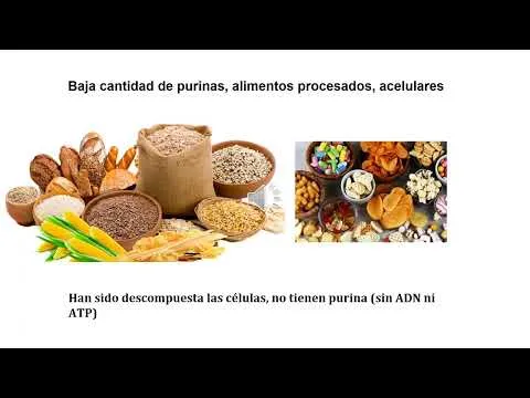 Video: El Rol de los Carbohidratos en la Gota